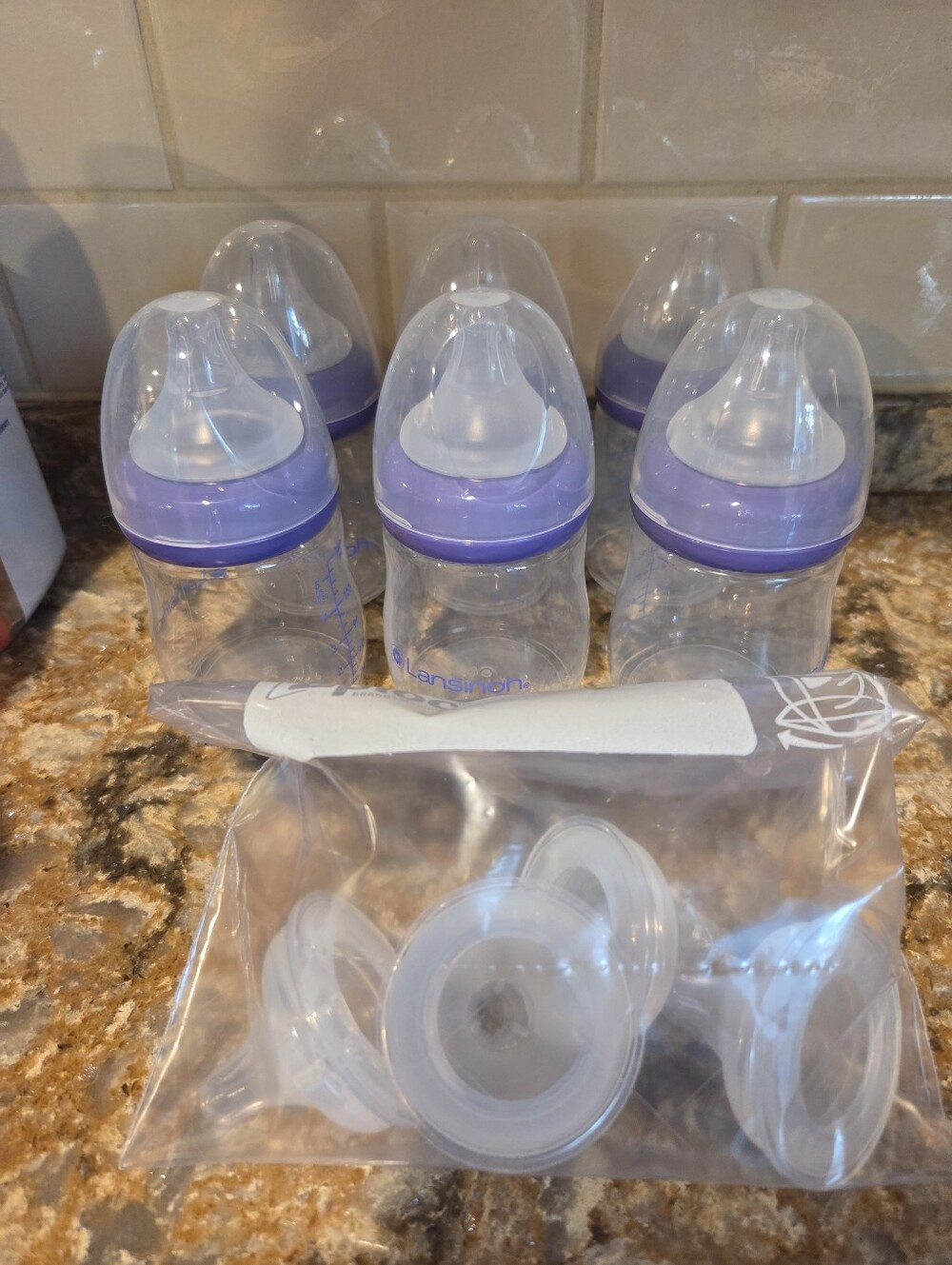 Lansinoh Purple Baby Bottles with Nipples - Pack of 6